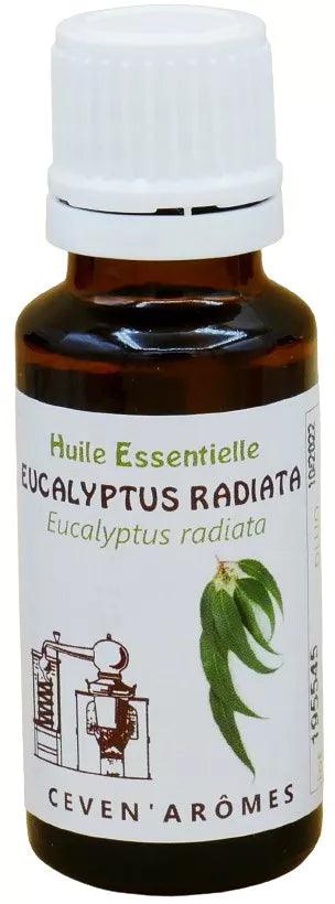 Eucalyptus Radiata Huile Essentielle HEBBD 20ml