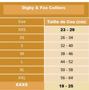 Digby & Fox Drover Collier Chien - SHOPHORSE