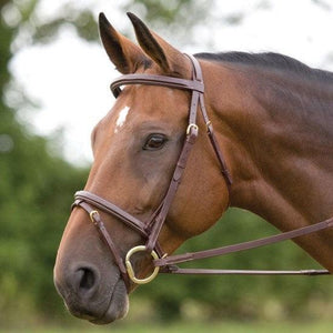 Shires Salisbury Bodenham Bridon -X/Full - SHOP HORSE
