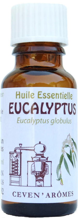 Eucalyptus Globulus Huile Essentielle HEBBD 20ml