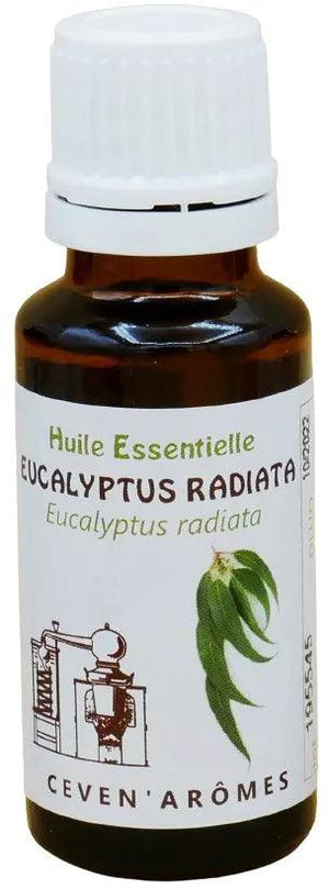 Eucalyptus Radiata Huile Essentielle HEBBD 20ml - SHOPHORSE