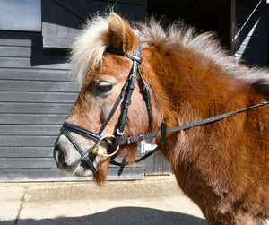 Windsor Bridon Petite Pony - SHOPHORSE