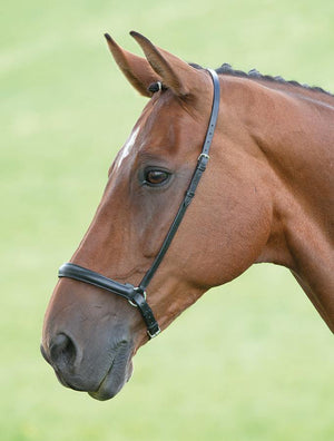Blenheim Muserolle Drop noseband - SHOP HORSE