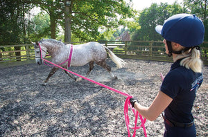 Shires Renes Fixes en Nylon - SHOP HORSE
