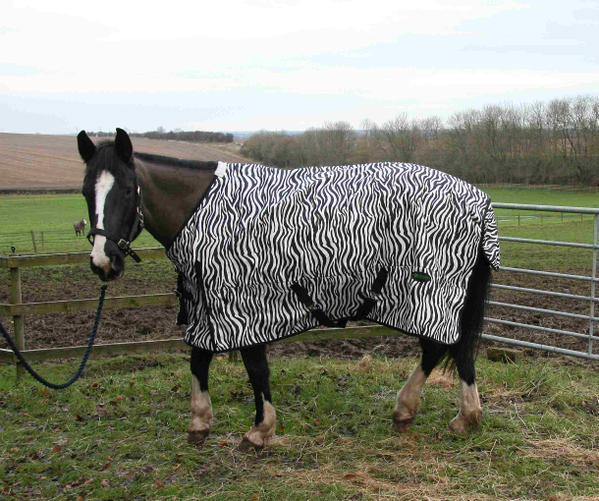 Couverture Impermeable Zebre - SHOP HORSE