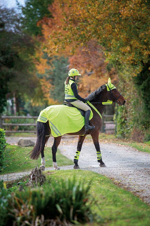 Equi-Flector Bonnet Anti Mouches Reflechissant - SHOP HORSE