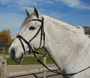 Rhinegold Bridon sans Mors - SHOP HORSE