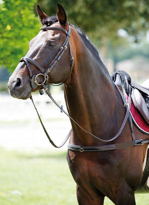 Tattini Collier Eco Friendly - SHOP HORSE
