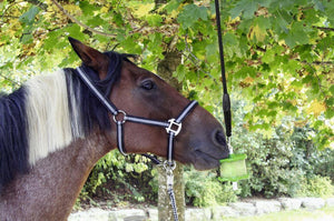 Delizia Support Pierre a Lecher - SHOP HORSE
