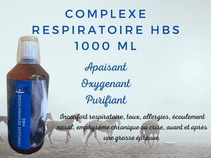 Herbisan Complexe Respiratoire - SHOPHORSE