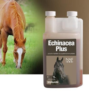 NAF Echinacea Plus - SHOPHORSE