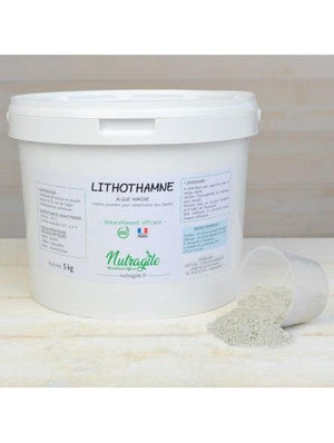 Nutragile Lithothamne Pure Poudre 5kg - SHOPHORSE