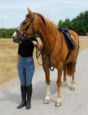 Windsor Martingale a Anneaux - SHOP HORSE