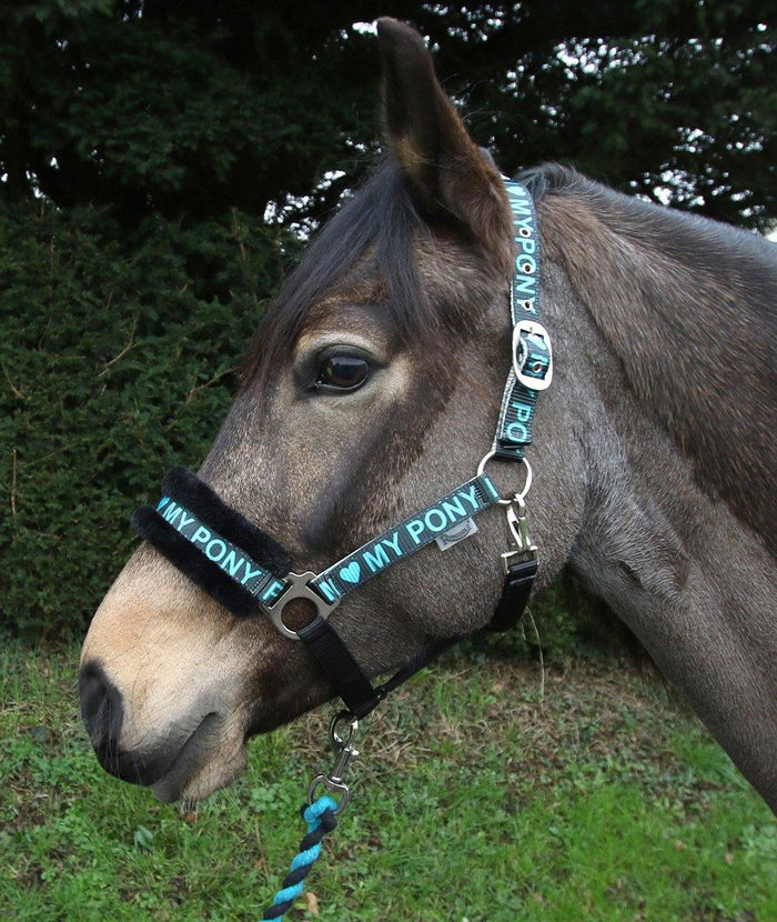 Rhinegold Licol et Longe Love My Pony Turquoise