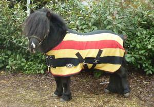 Chemise Polaire Poney Stripe - SHOP HORSE