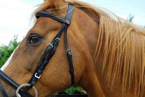 Windsor Bridon Combiné - SHOP HORSE