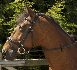 Windsor Bridon Confort - SHOP HORSE